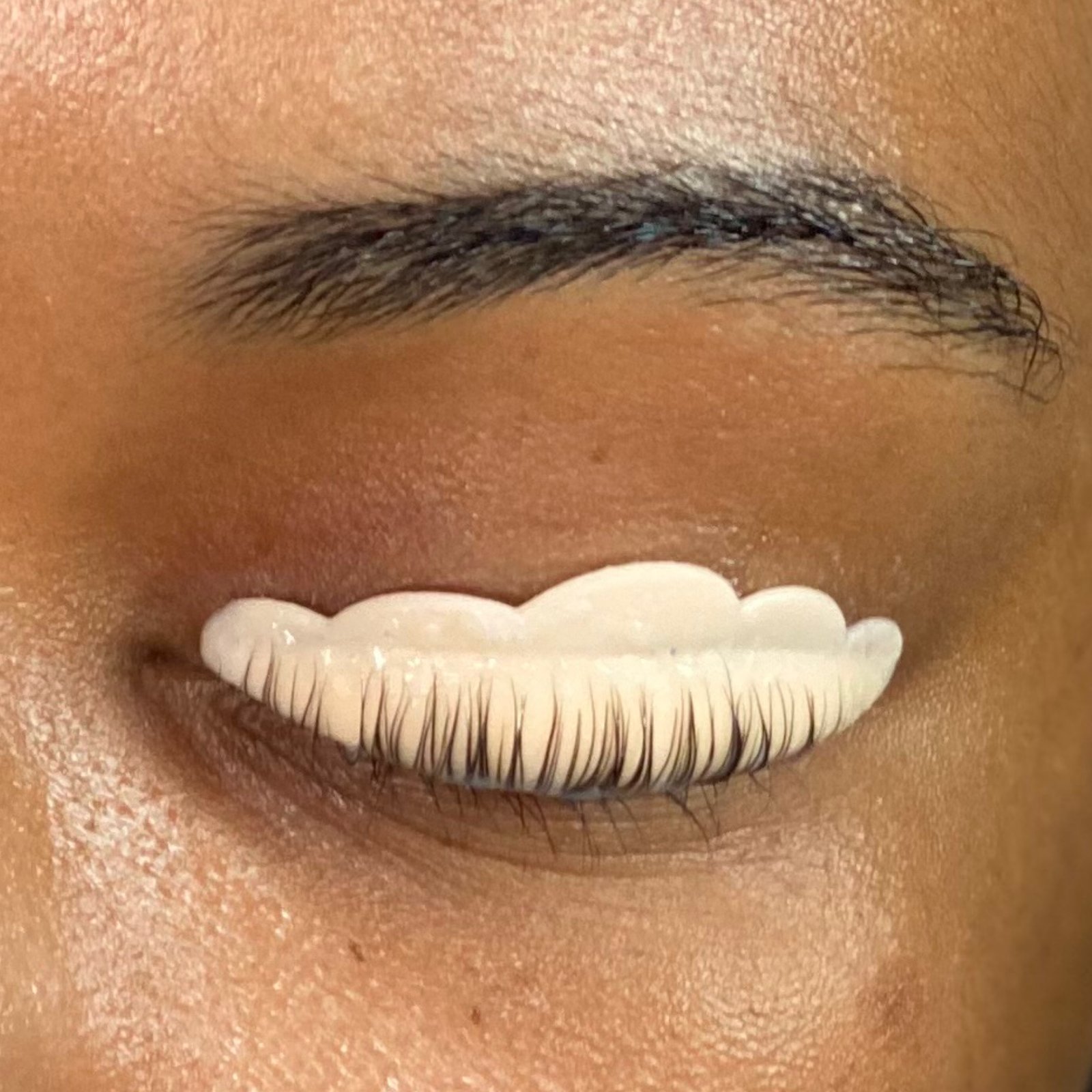 Lash Lift and Tint