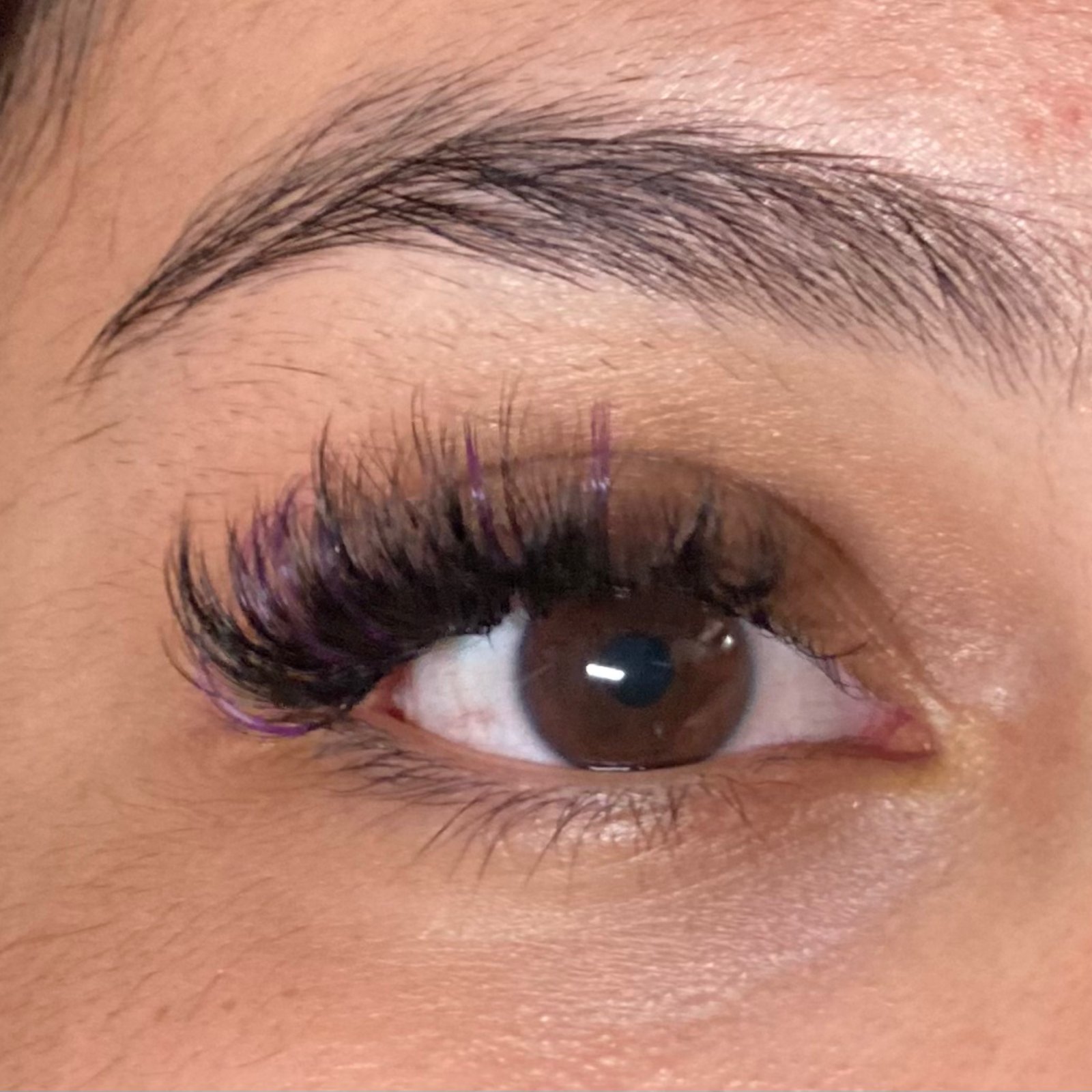 Volume Lash Fill