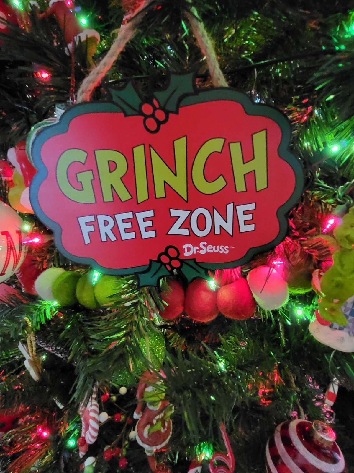 Grinch Free Zone sign hanging among green and red ornaments