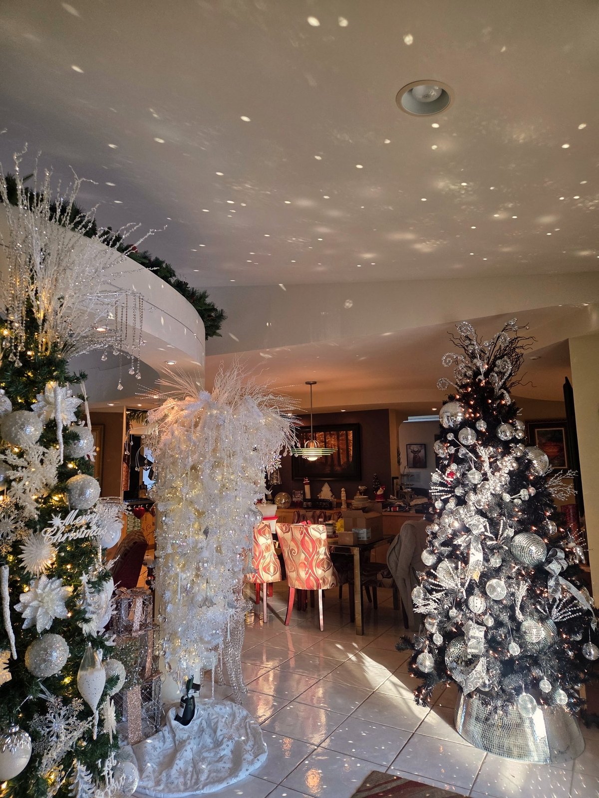Open living space with several decorated Christmas trees
